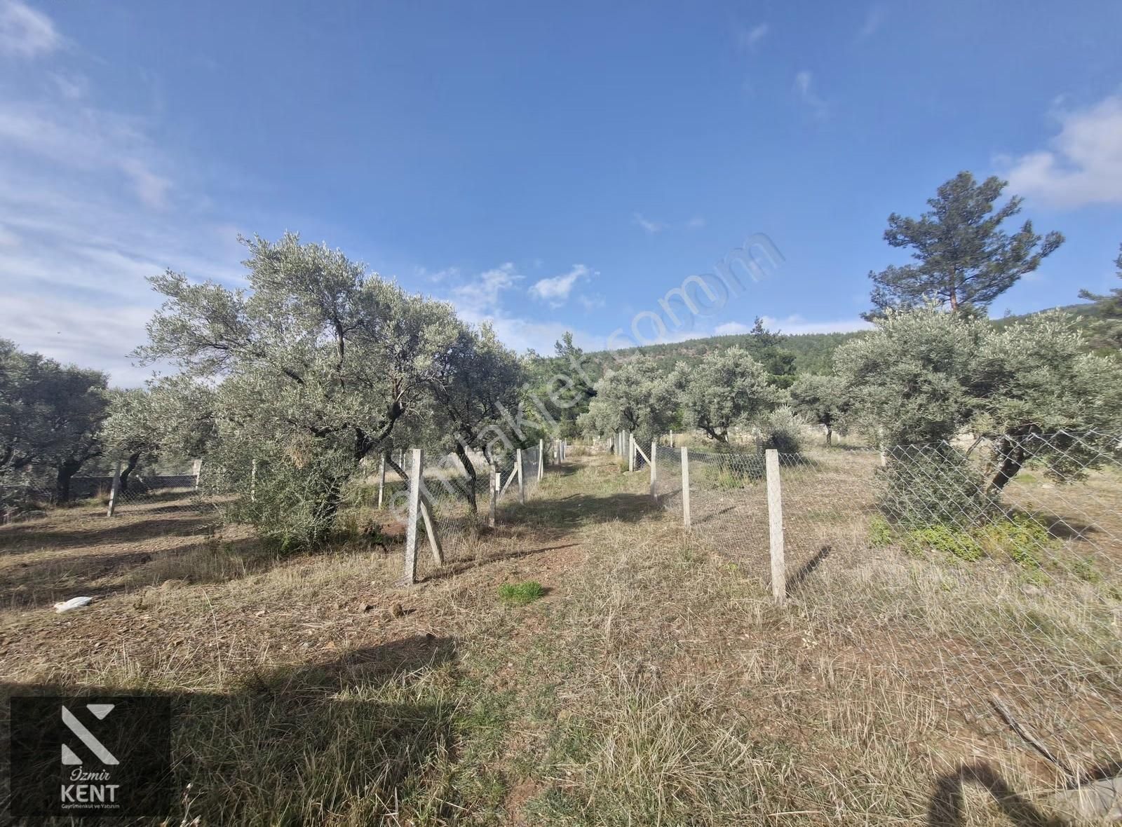 Kemalpaşa Dereköy Satılık 315 M2 Merkezde Tapulu Bahçe - Görsel 2