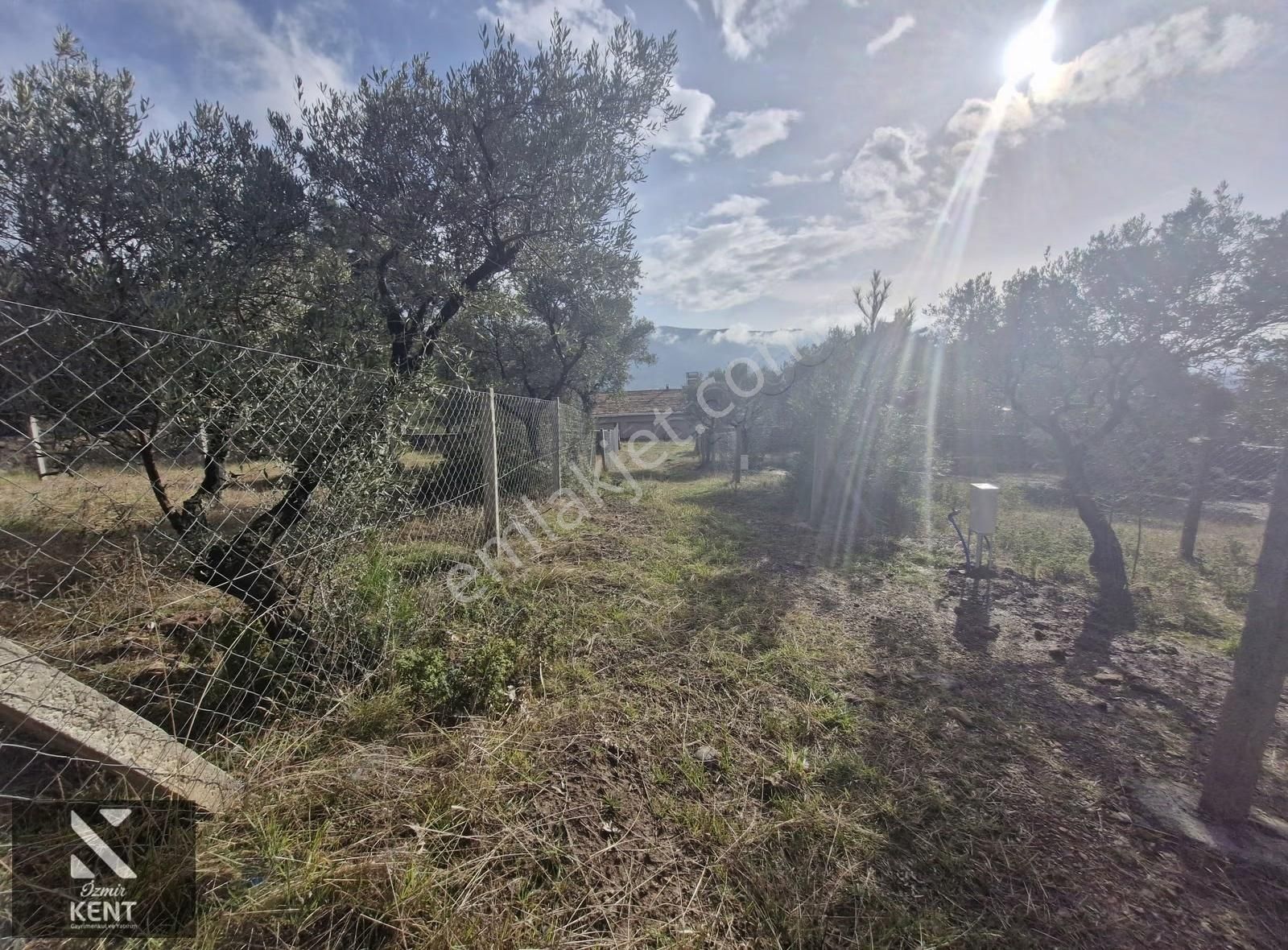 Kemalpaşa Dereköy Satılık 315 M2 Merkezde Tapulu Bahçe - Görsel 5