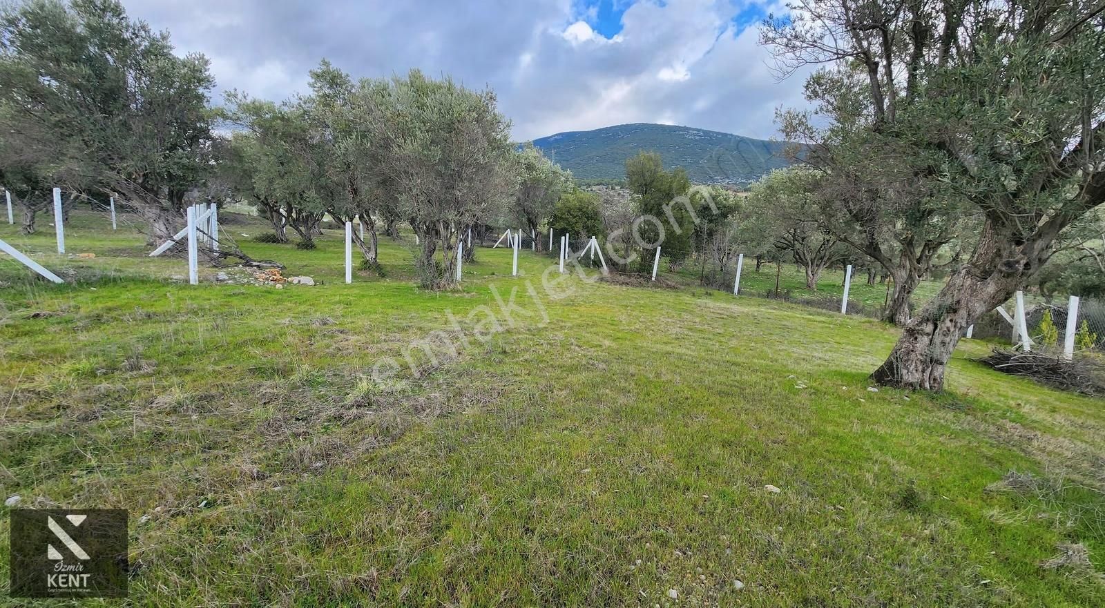 Kemalpaşa Sütçüler Satılık 331 M2 Bahçe - Görsel 6