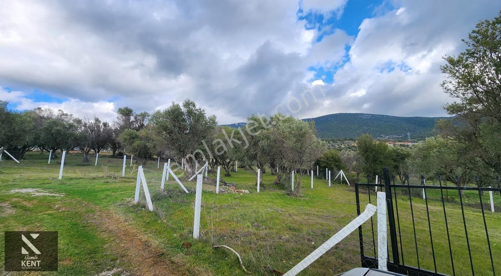 Kemalpaşa Sütçüler Satılık 331 M2 Bahçe - Görsel 4