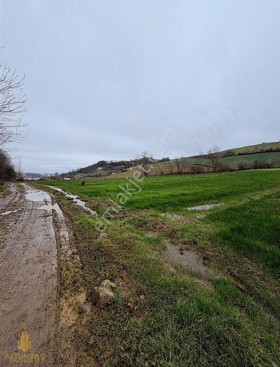 Tahtalı Gölete Komşu Alt Yapısı Hazır 2.424 M² Doğa Harikası - Görsel 8