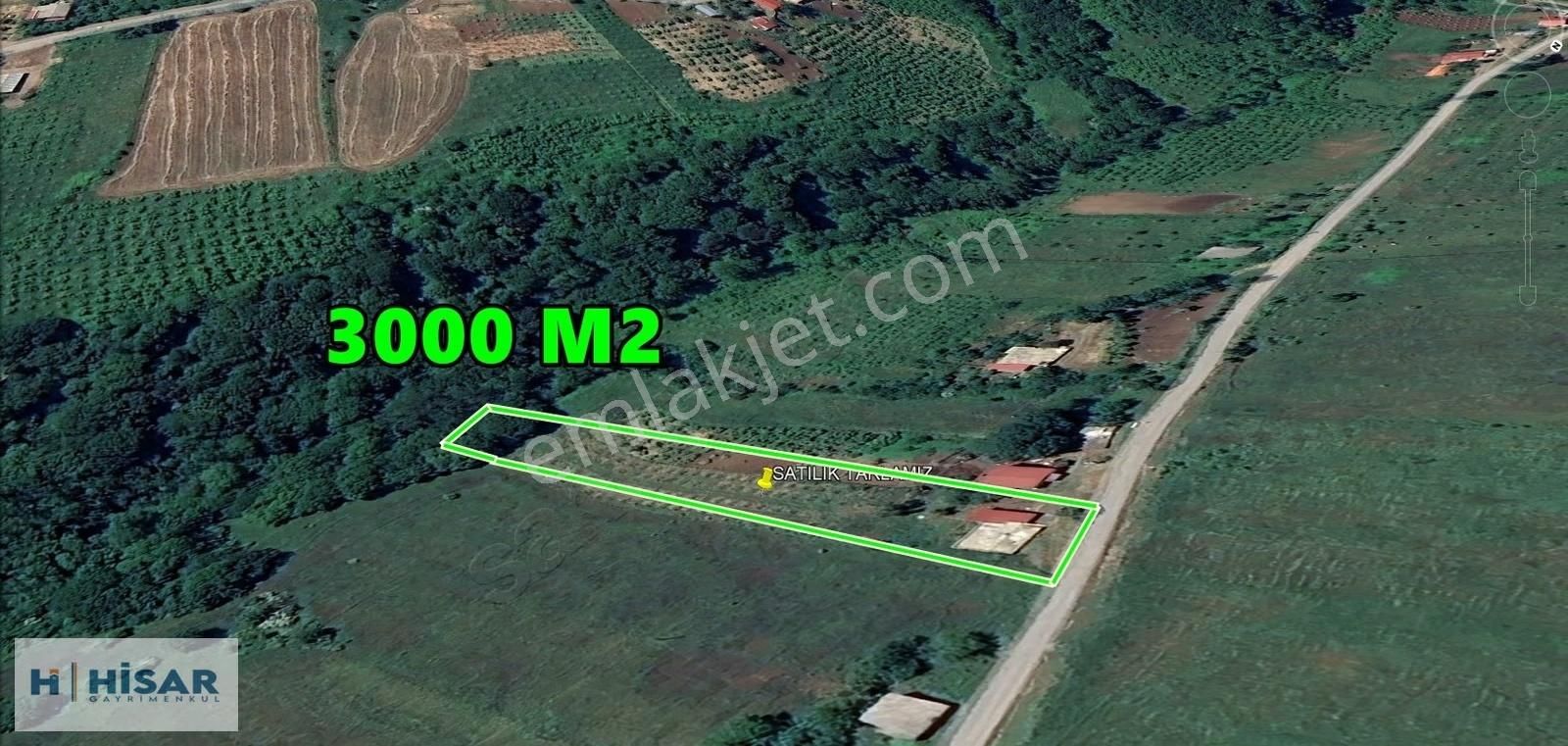Hisar'dan Kurugökçe'de Müstakil Ev İle 3000 M2 Satılık Tarla - Görsel 5