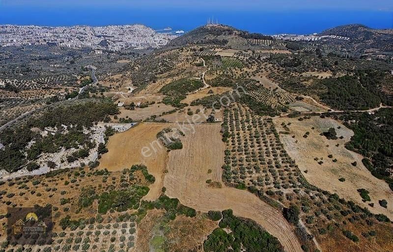 Kuşadasında İmara Yakın Deniz Manzaralı Tarla Hissesi - Görsel 11