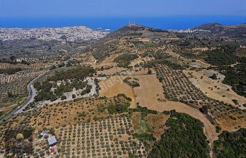 Kuşadasında İmara Yakın Deniz Manzaralı Tarla Hissesi - Görsel 15