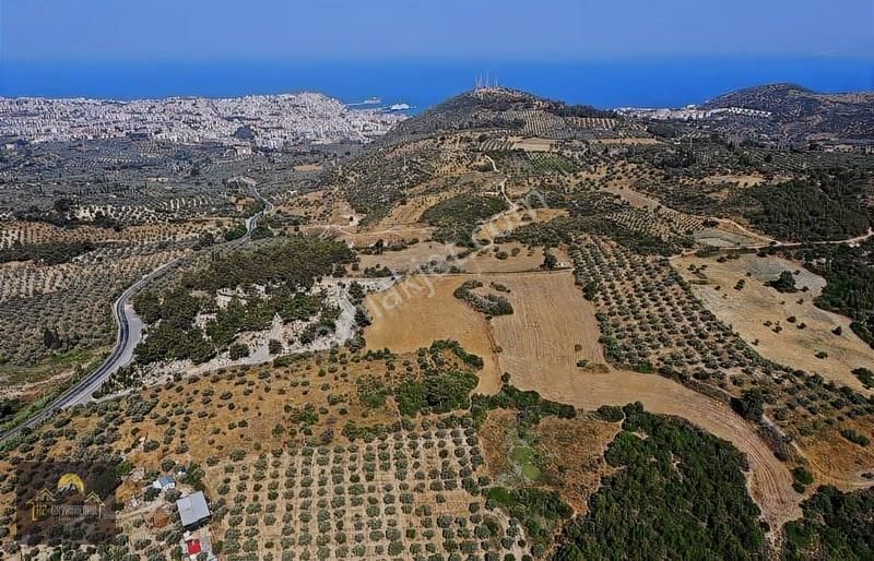 Kuşadasında İmara Yakın Deniz Manzaralı Tarla Hissesi - Görsel 10