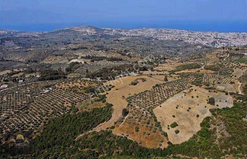 Kuşadasında İmara Yakın Deniz Manzaralı Tarla Hissesi - Görsel 9
