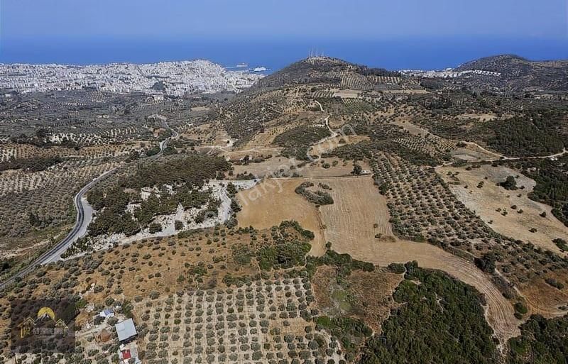 Kuşadasında İmara Yakın Deniz Manzaralı Tarla Hissesi - Görsel 18
