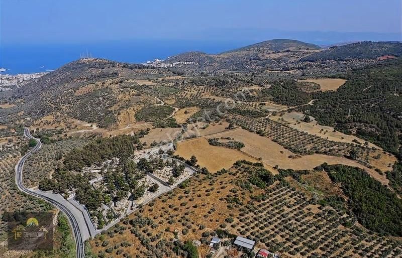 Kuşadasında İmara Yakın Deniz Manzaralı Tarla Hissesi - Görsel 16
