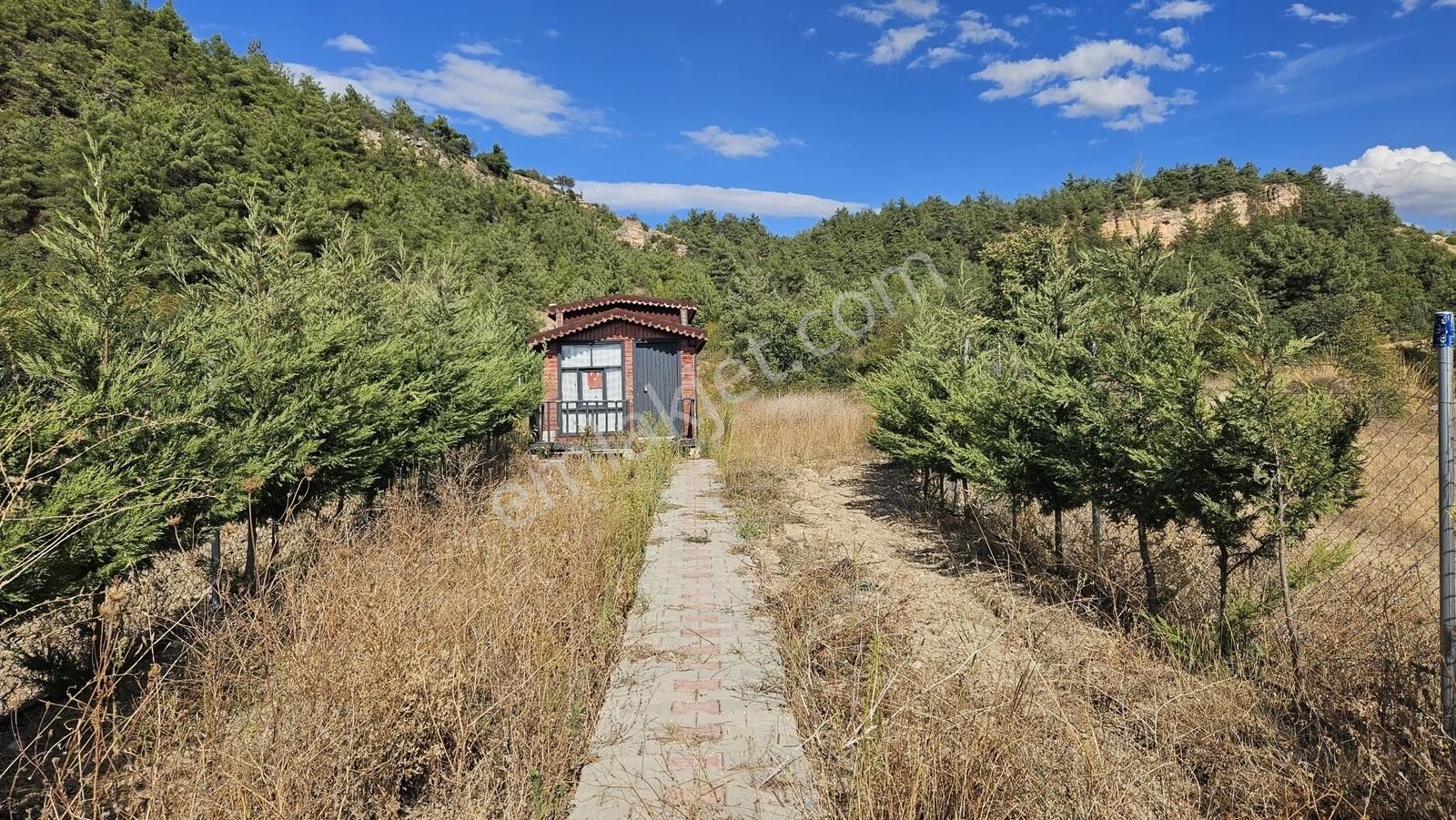 Yenişehir İncirli Satılık Hobi Bahçesi Müstakil Tapu 1000 M2 - Görsel 3