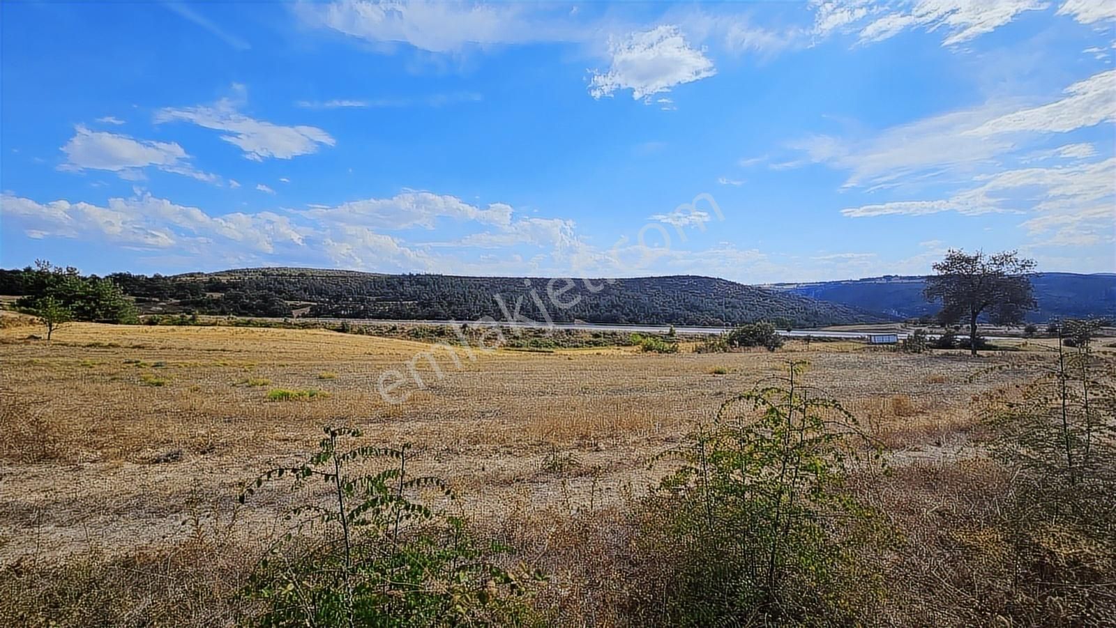 Yenişehir İncirli Satılık Hobi Bahçesi Müstakil Tapu 1000 M2 - Görsel 20