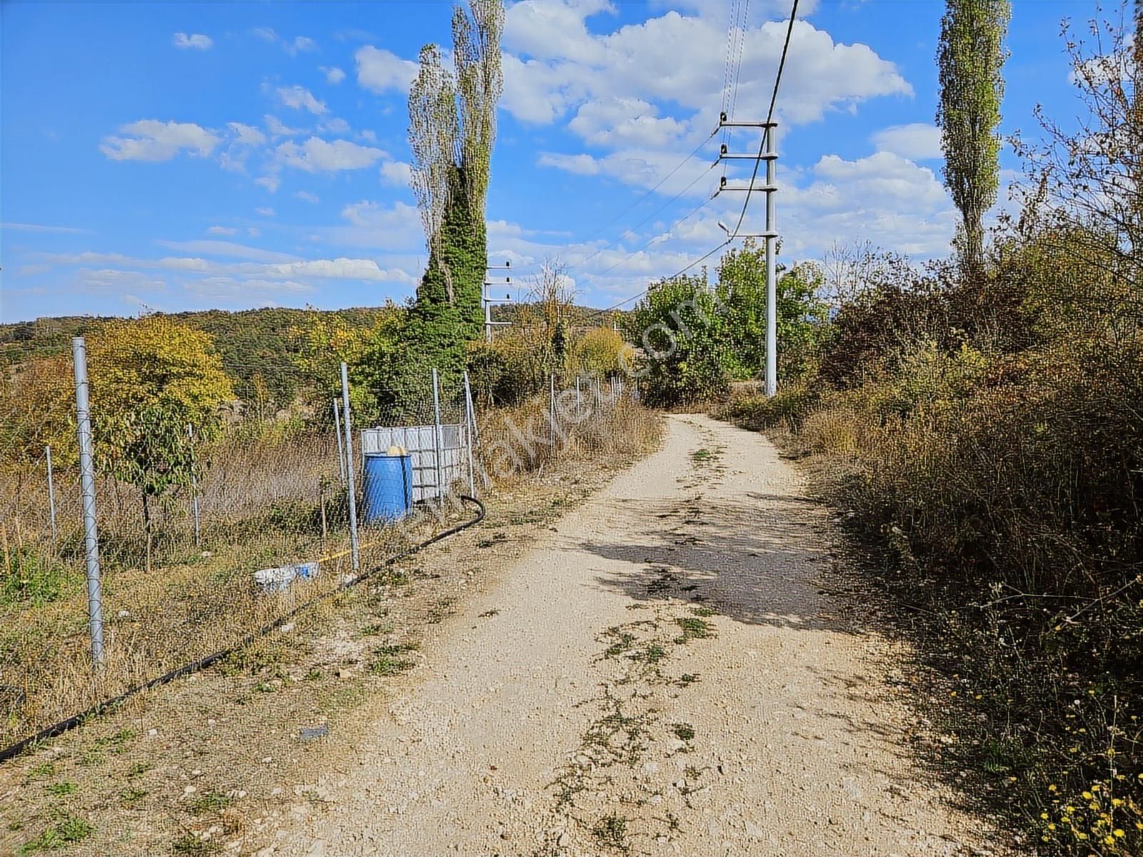Bursa Nilüfer Atlas Köyü'nde Hobi Ve Yatırım İçin Fırsat Arazi - Görsel 8