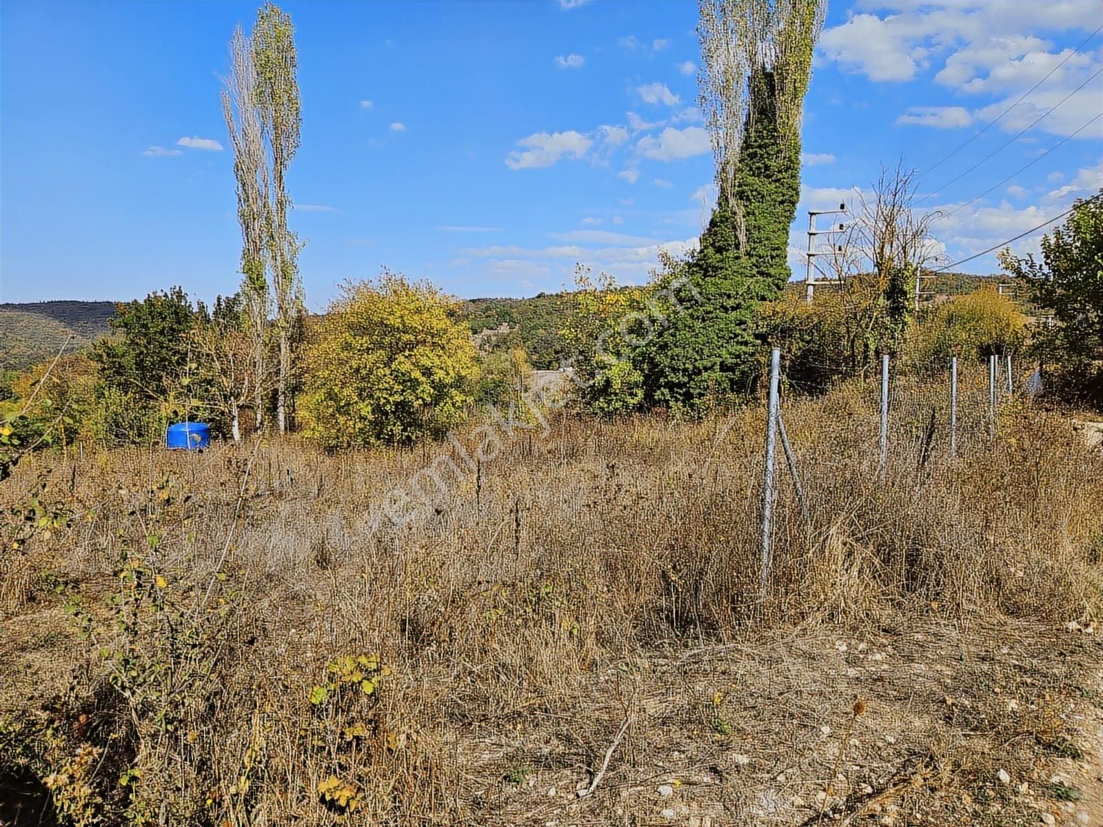 Bursa Nilüfer Atlas Köyü'nde Hobi Ve Yatırım İçin Fırsat Arazi - Görsel 2