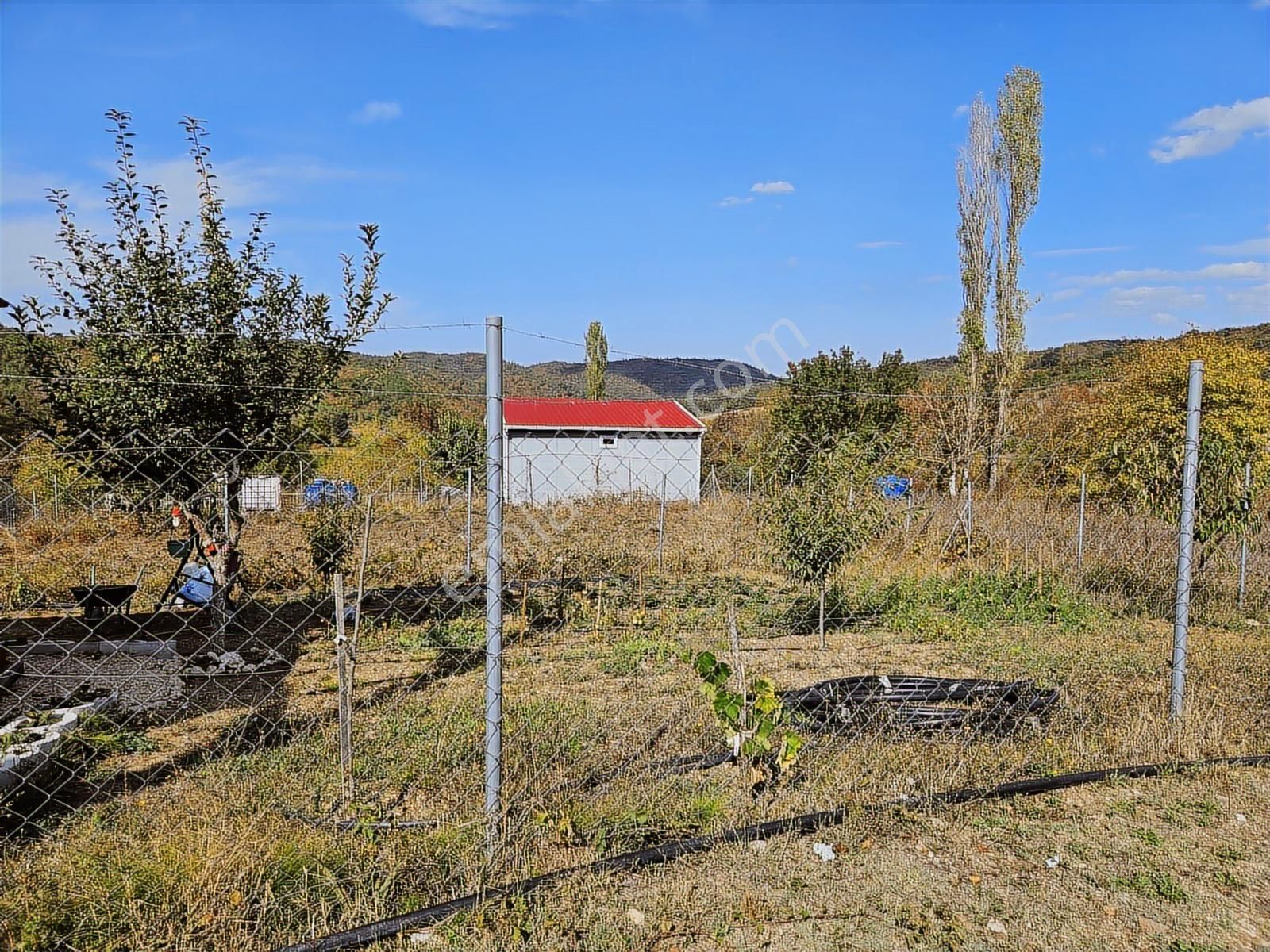 Bursa Nilüfer Atlas Köyü'nde Hobi Ve Yatırım İçin Fırsat Arazi - Görsel 9