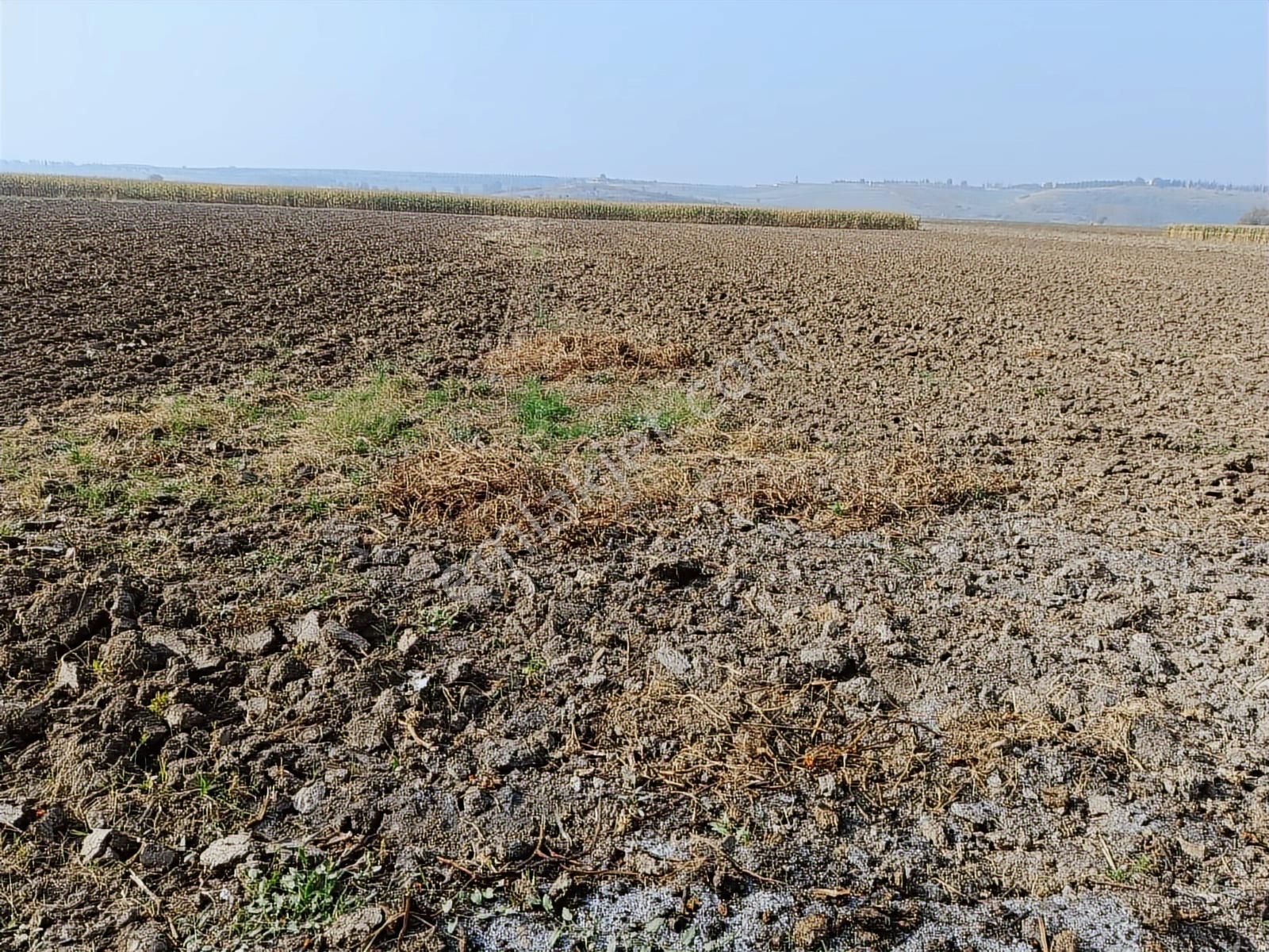 Mustafakemalpaşa Ovaazatlı Da Satılık Yolu Ve Suyu Olan Tarla - Görsel 8
