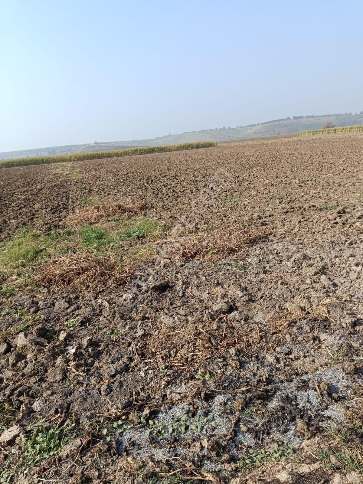 Mustafakemalpaşa Ovaazatlı Da Satılık Yolu Ve Suyu Olan Tarla - Görsel 3