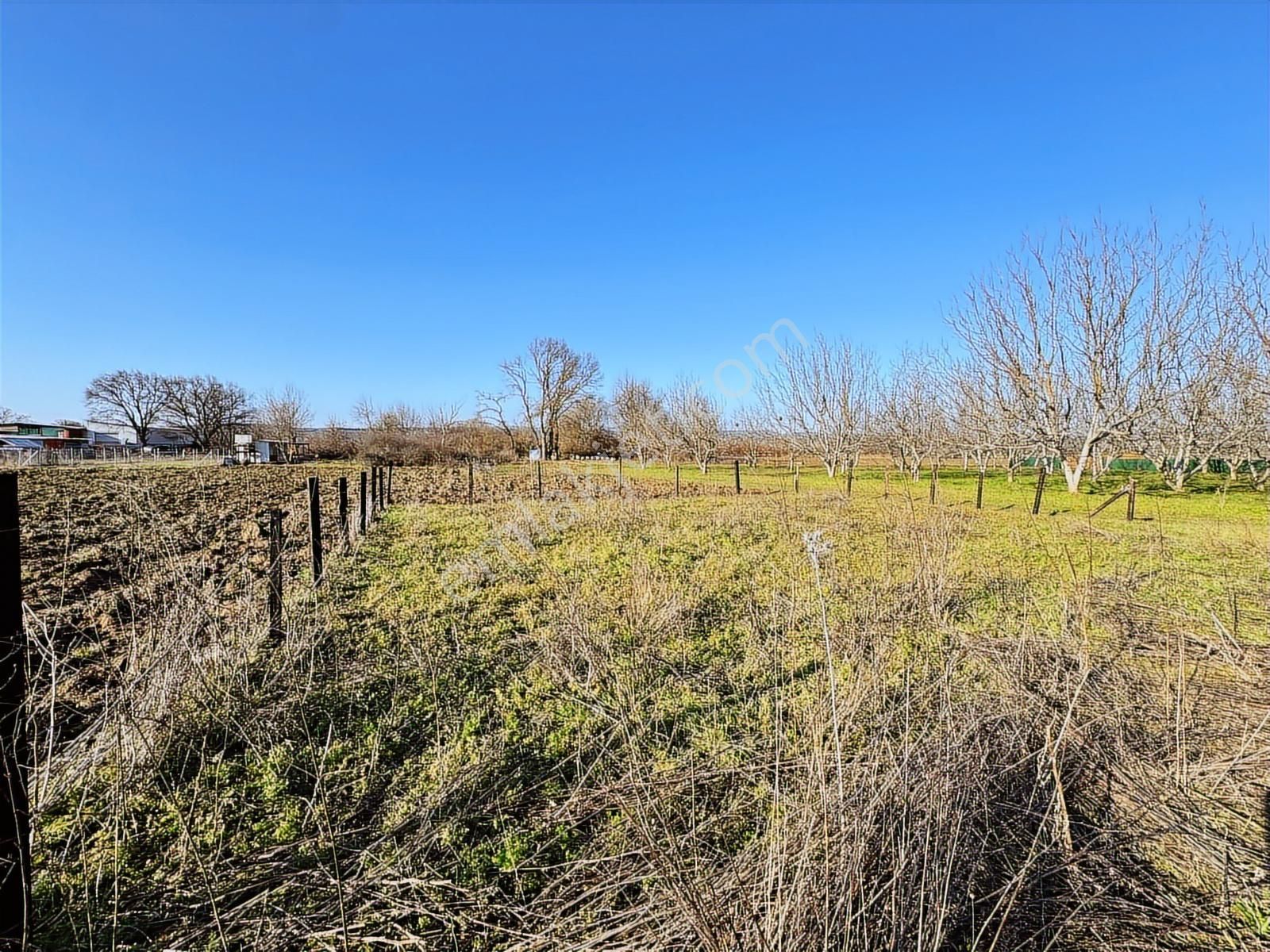 Yolçatı'da Hobi Bahçesine Uygun Tarla - Görsel 8