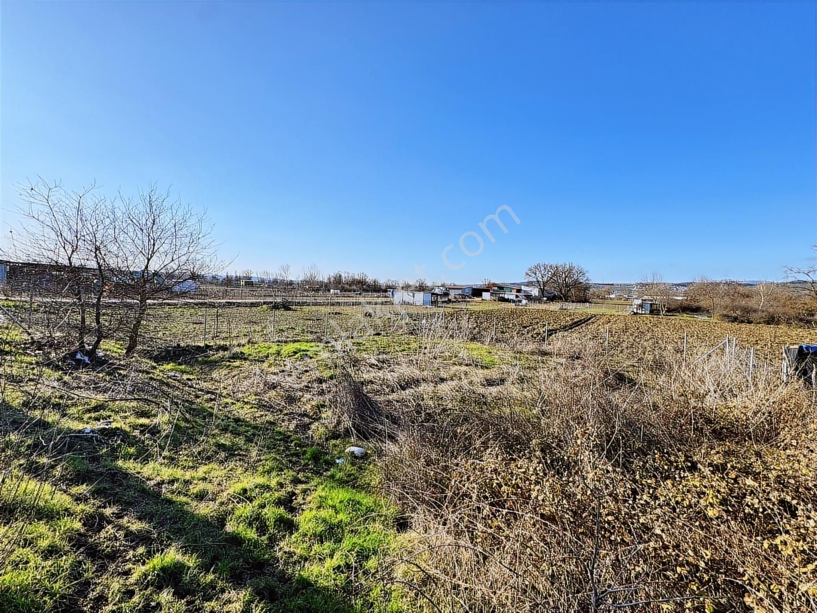 Yolçatı'da Hobi Bahçesine Uygun Tarla - Görsel 21