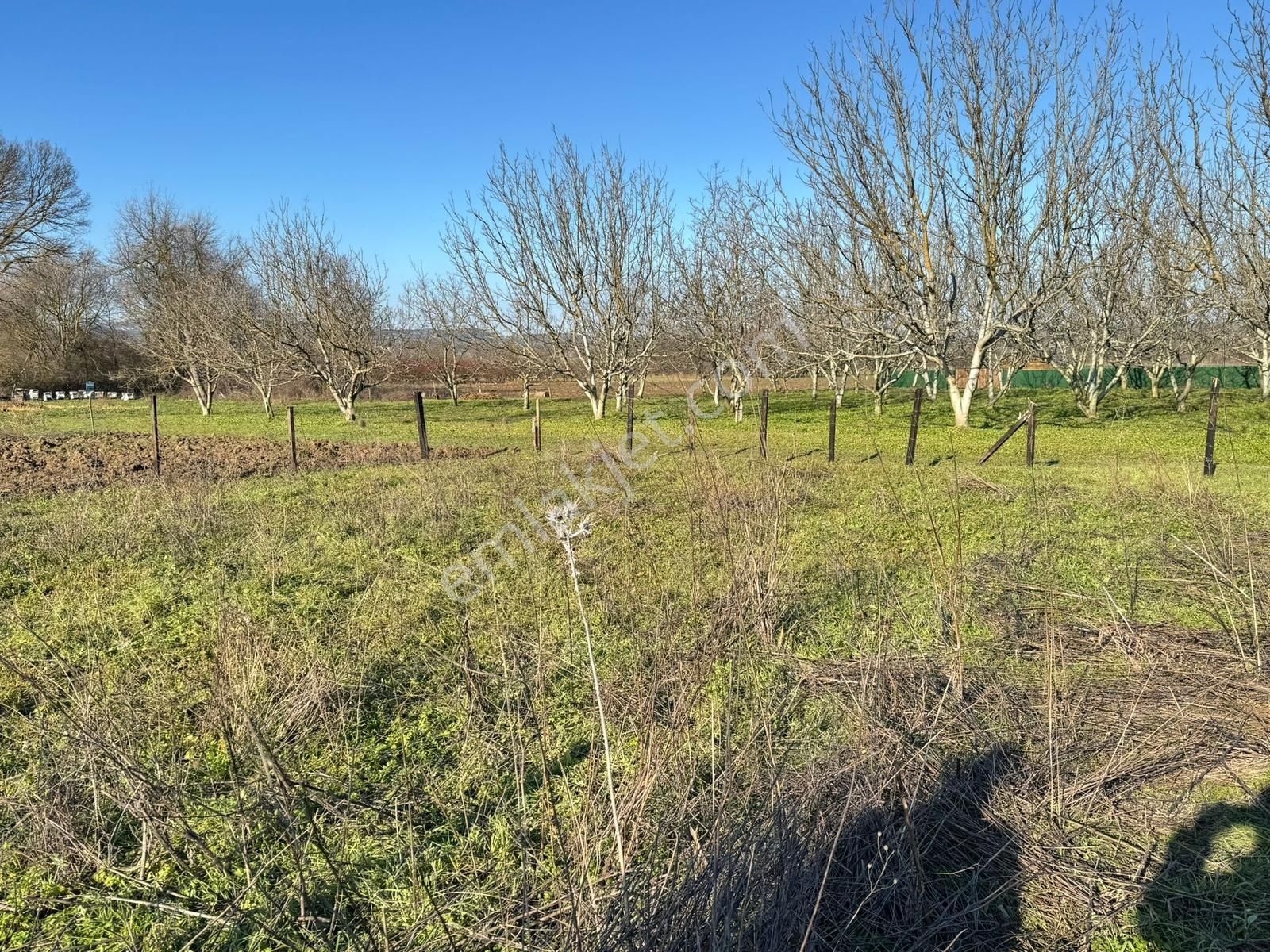 Yolçatı'da Hobi Bahçesine Uygun Tarla - Görsel 10