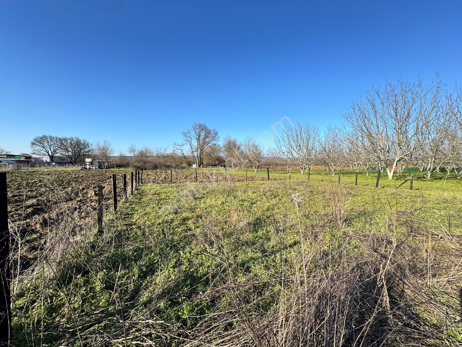 Yolçatı'da Hobi Bahçesine Uygun Tarla - Görsel 2