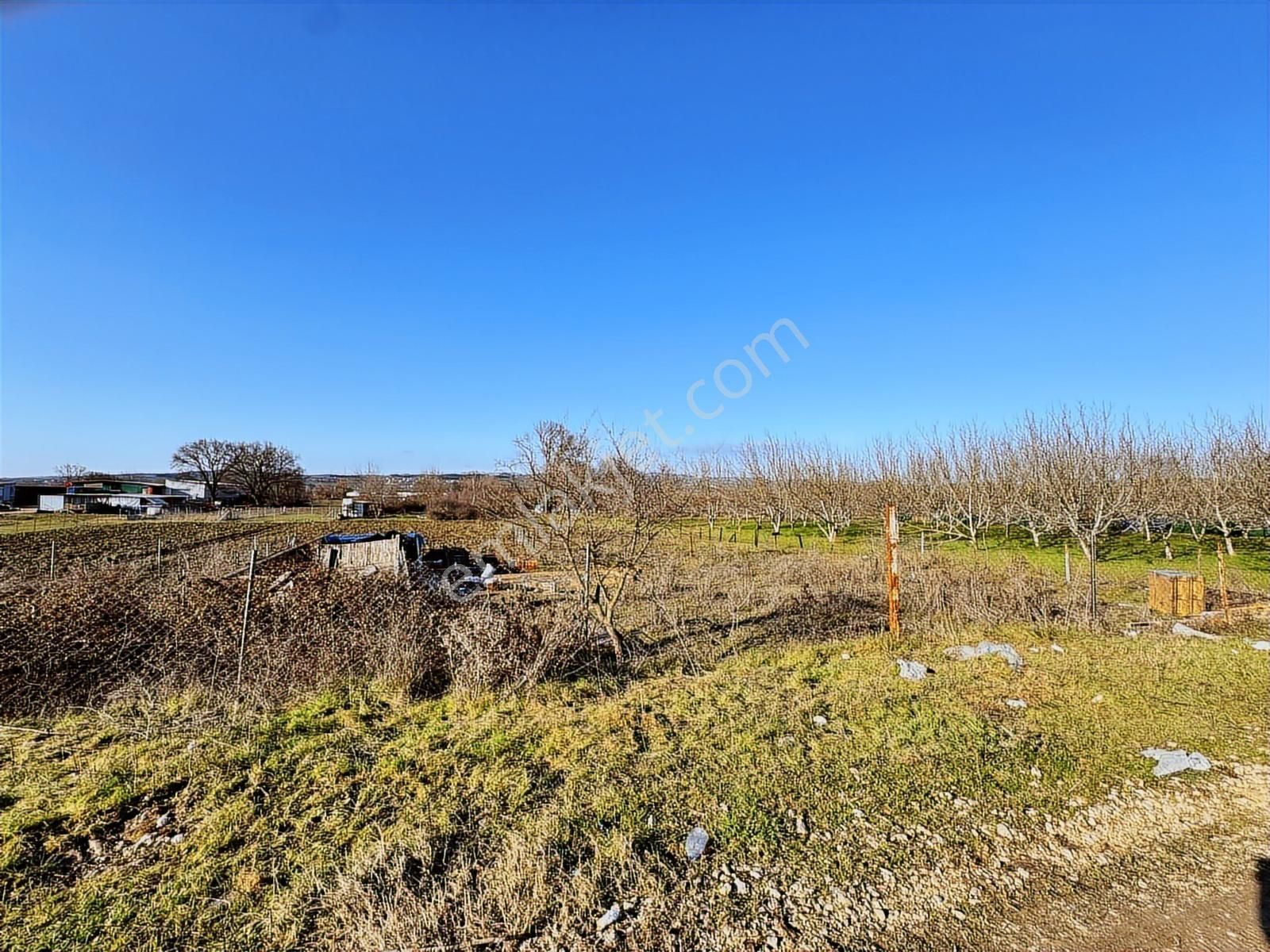 Yolçatı'da Hobi Bahçesine Uygun Tarla - Görsel 4