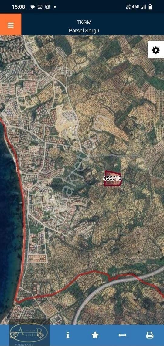 Balıkesir Burhaniye İmar Dibi 14 Dönüm Satılık Zeytinlik - Görsel 5