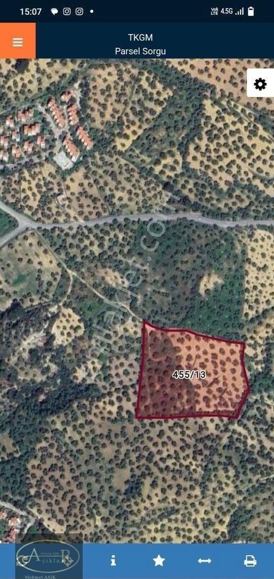Balıkesir Burhaniye İmar Dibi 14 Dönüm Satılık Zeytinlik - Görsel 11