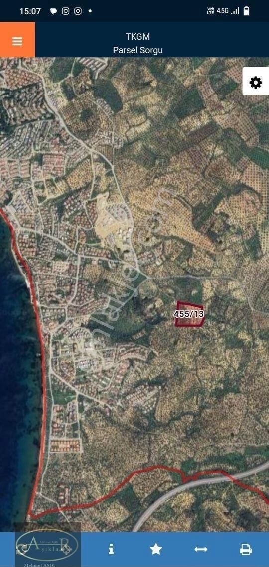 Balıkesir Burhaniye İmar Dibi 14 Dönüm Satılık Zeytinlik - Görsel 14