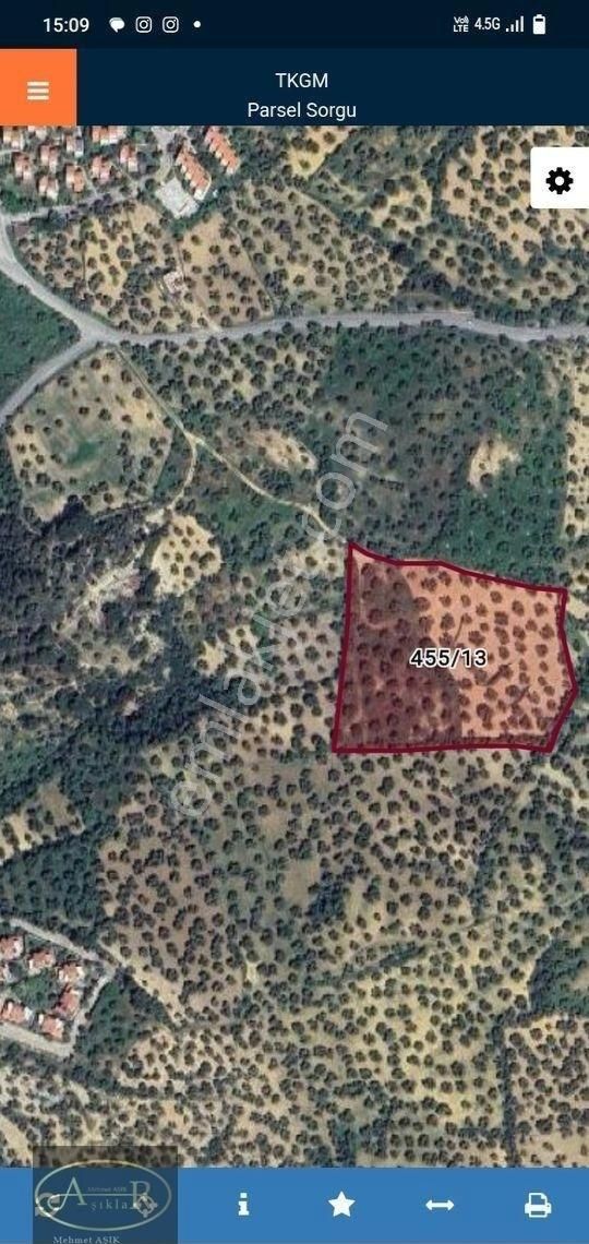 Balıkesir Burhaniye İmar Dibi 14 Dönüm Satılık Zeytinlik - Görsel 3