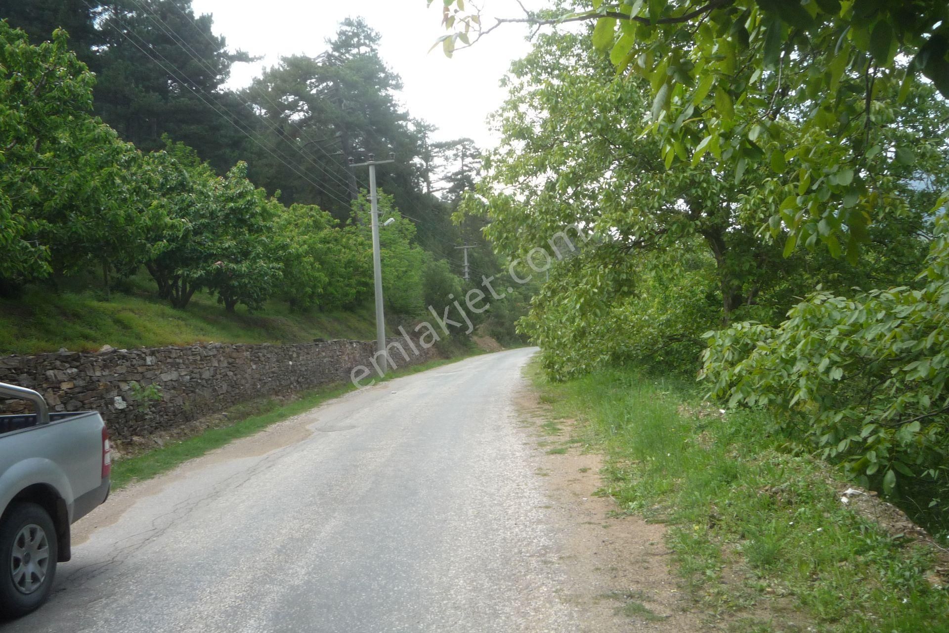 İzmir Torbalı Gold Emlaktan Harika Satılık Bahçe..