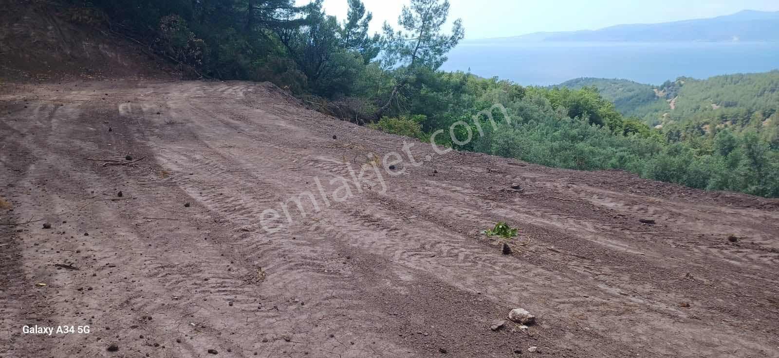 Deniz Manzaralı Orman Alanına Cephe Fırsat Satılık Tarla - Görsel 2