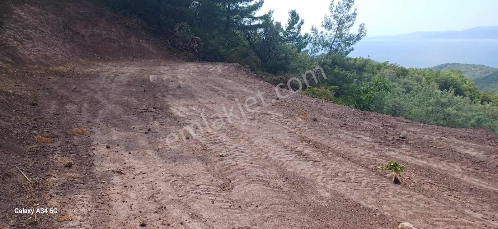 Deniz Manzaralı Orman Alanına Cephe Fırsat Satılık Tarla - Görsel 5