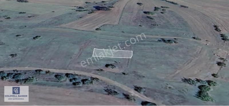Kandırada Satılık 2 Adet Tarla - Görsel 3