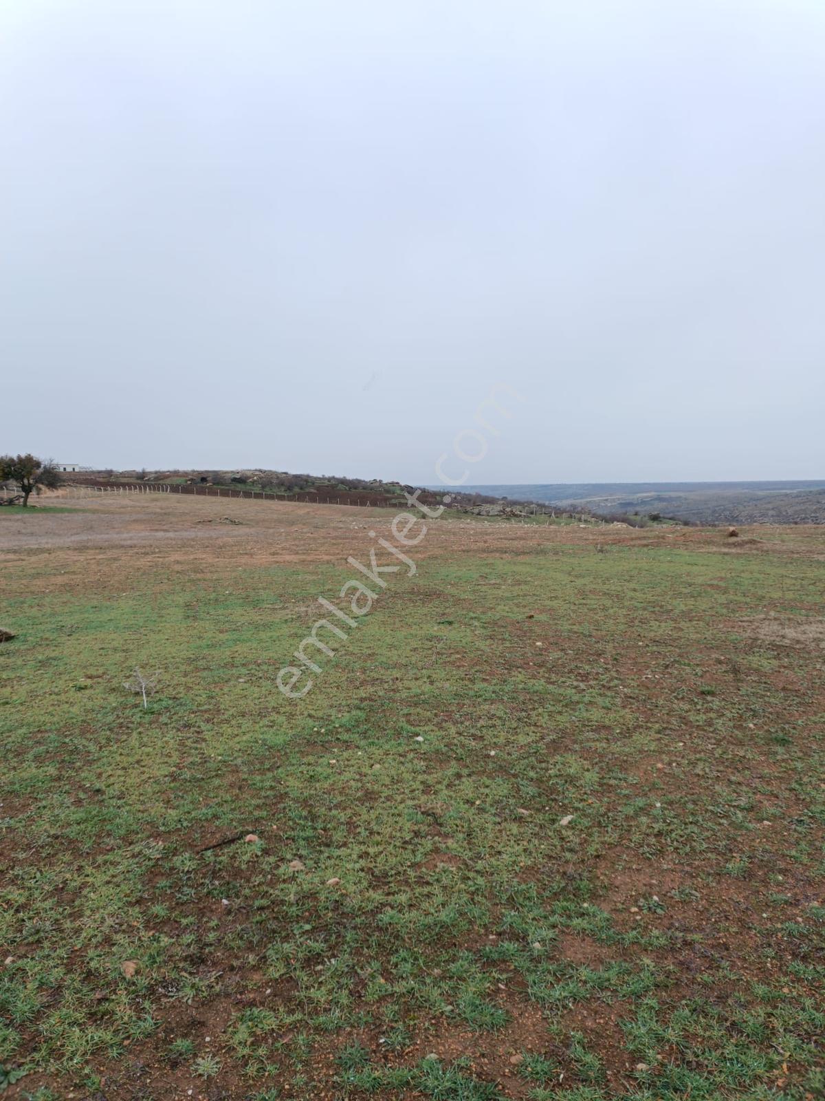 Newcıty Emlaktan Eriklicede 32.350 M2 Satılık Tarla - Görsel 6