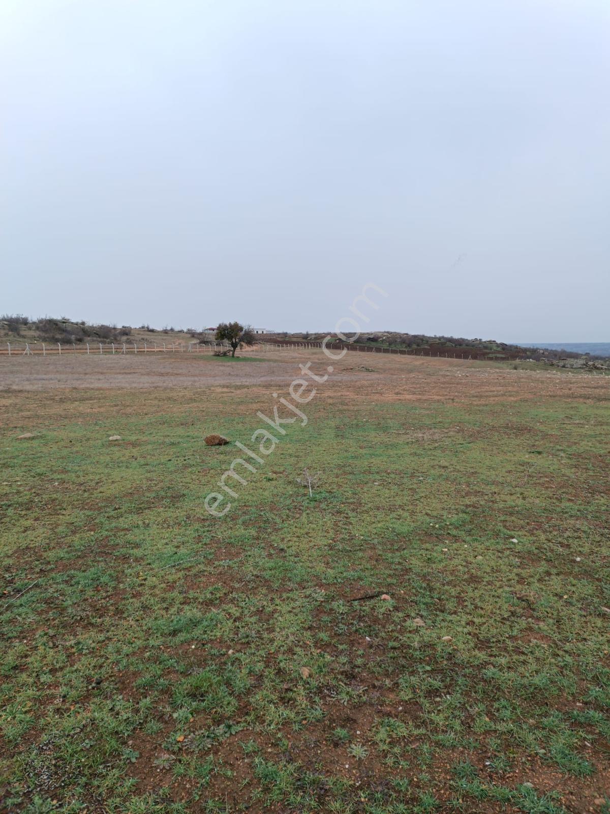 Newcıty Emlaktan Eriklicede 32.350 M2 Satılık Tarla - Görsel 24
