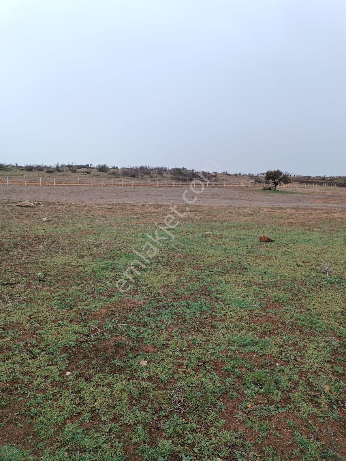 Newcıty Emlaktan Eriklicede 32.350 M2 Satılık Tarla - Görsel 21