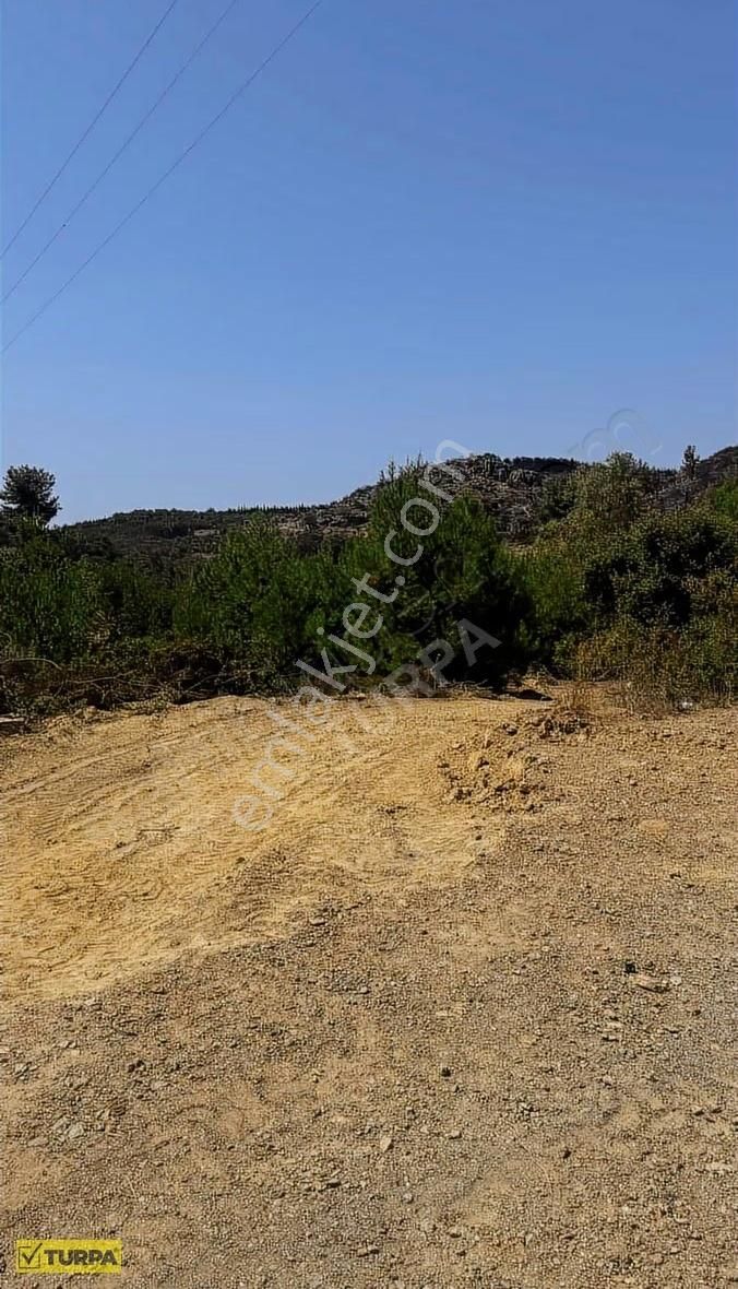 Seferihisar Ömür Beldesinde Tek Parça Verimli Tarla - Görsel 4