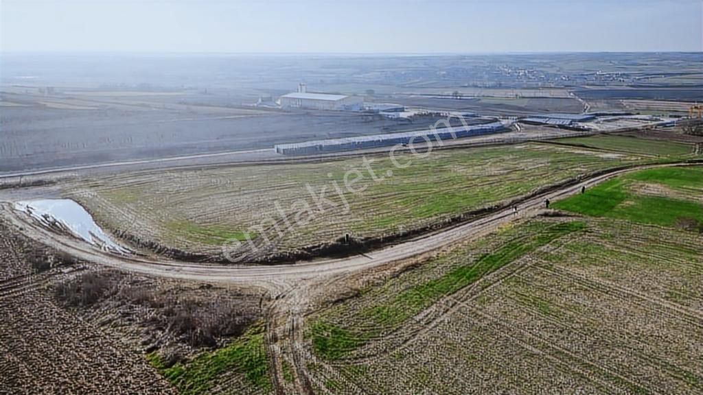 Edirne Havsa Cumhuriyette Hızlı Trenin Dibinde Hisseli Yer! - Görsel 6