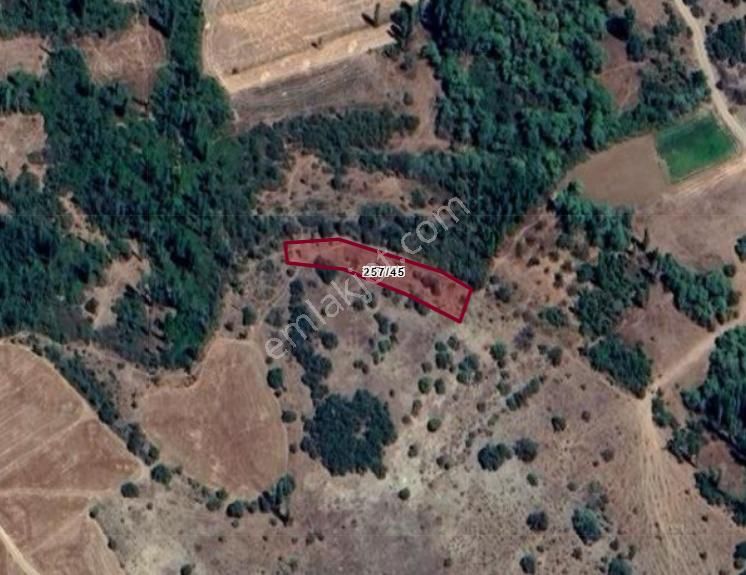 Konya Çumra Çiçek Köyünde 790 M² Bağ Satılıktır