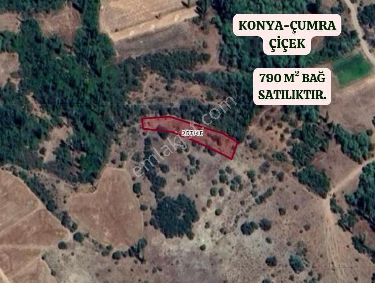 Konya Çumra Çiçek Köyünde 790 M² Bağ Satılıktır - Görsel 2