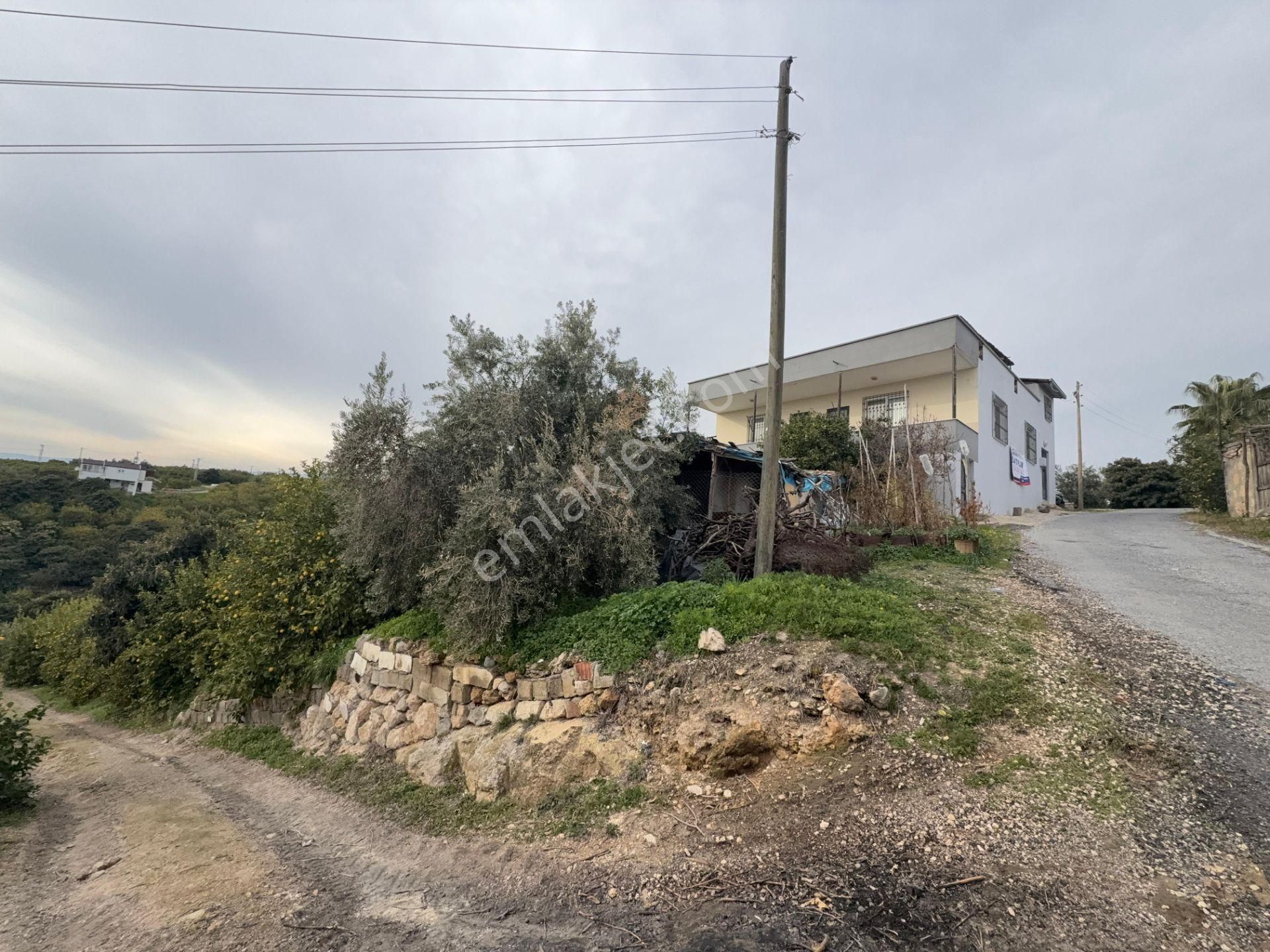 Bolkar Emlaktan Tece'de Deniz Manzaralı Bahçeli 2+1 Ev Ve Bahçe - Görsel 6