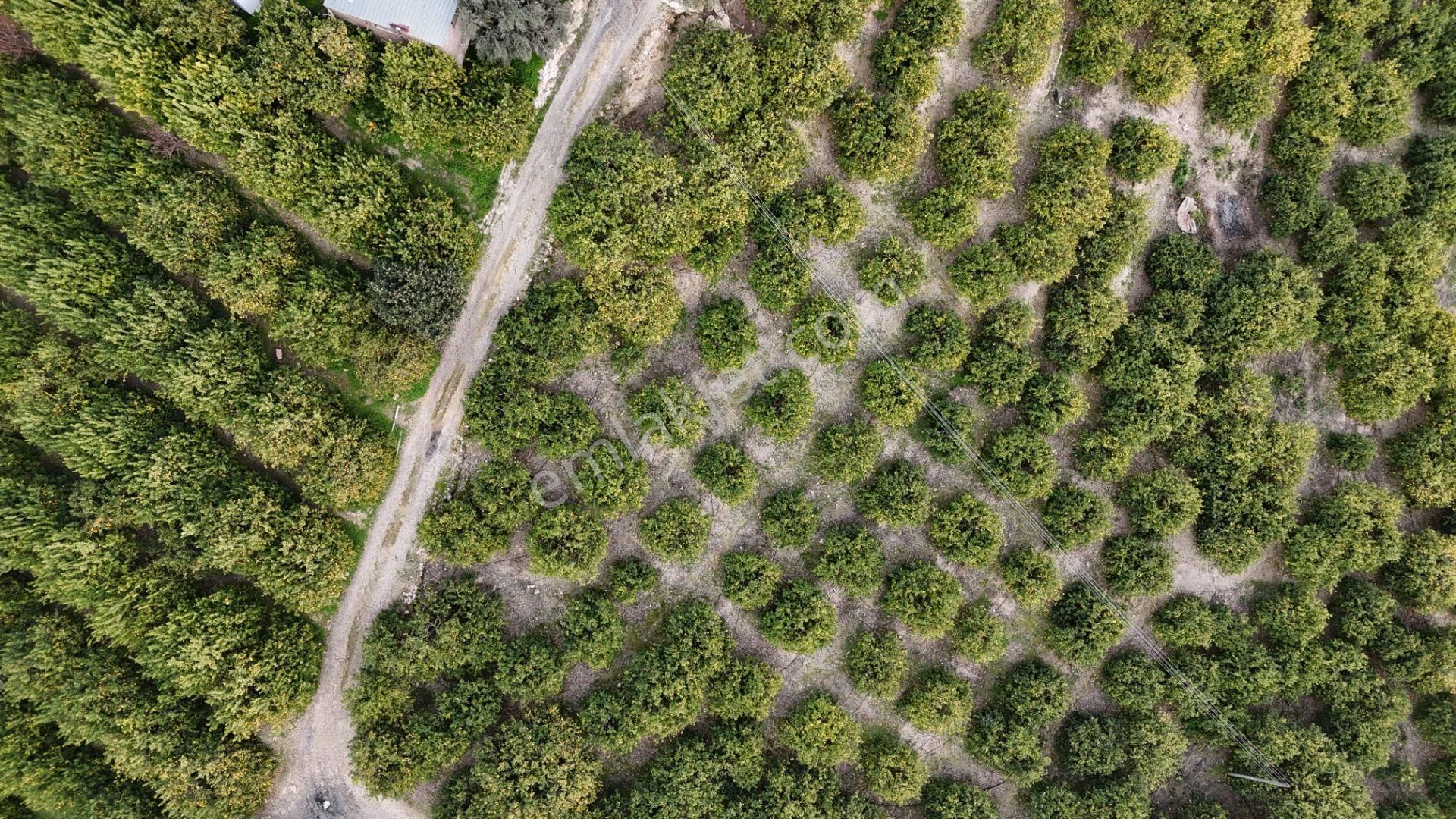 Bolkar Emlaktan Tece'de Deniz Manzaralı Bahçeli 2+1 Ev Ve Bahçe - Görsel 23