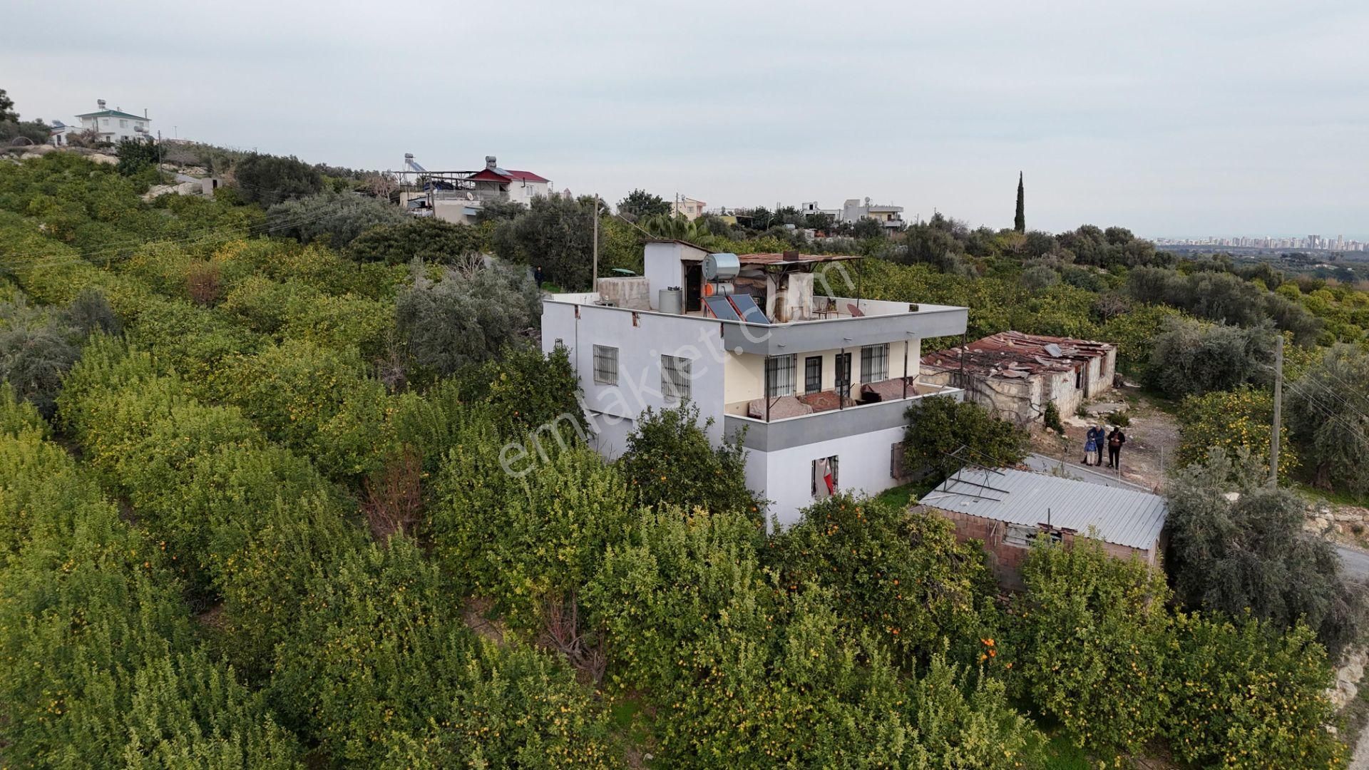 Bolkar Emlaktan Tece'de Deniz Manzaralı Bahçeli 2+1 Ev Ve Bahçe - Görsel 33