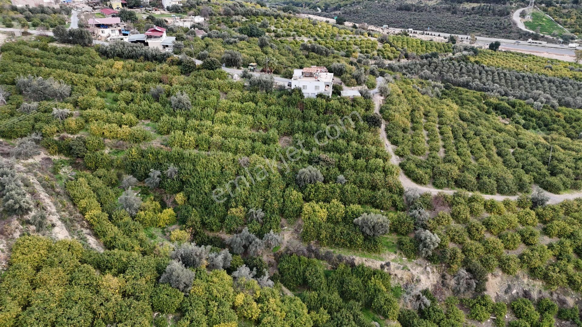 Bolkar Emlaktan Tece'de Deniz Manzaralı Bahçeli 2+1 Ev Ve Bahçe - Görsel 28