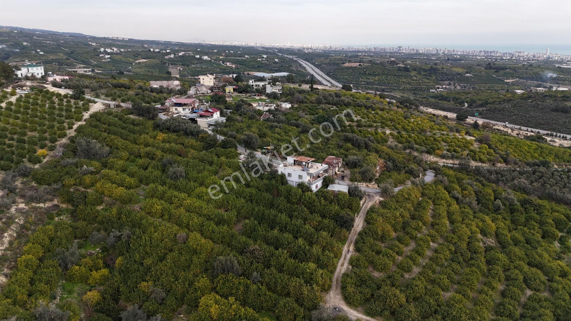 Bolkar Emlaktan Tece'de Deniz Manzaralı Bahçeli 2+1 Ev Ve Bahçe - Görsel 24