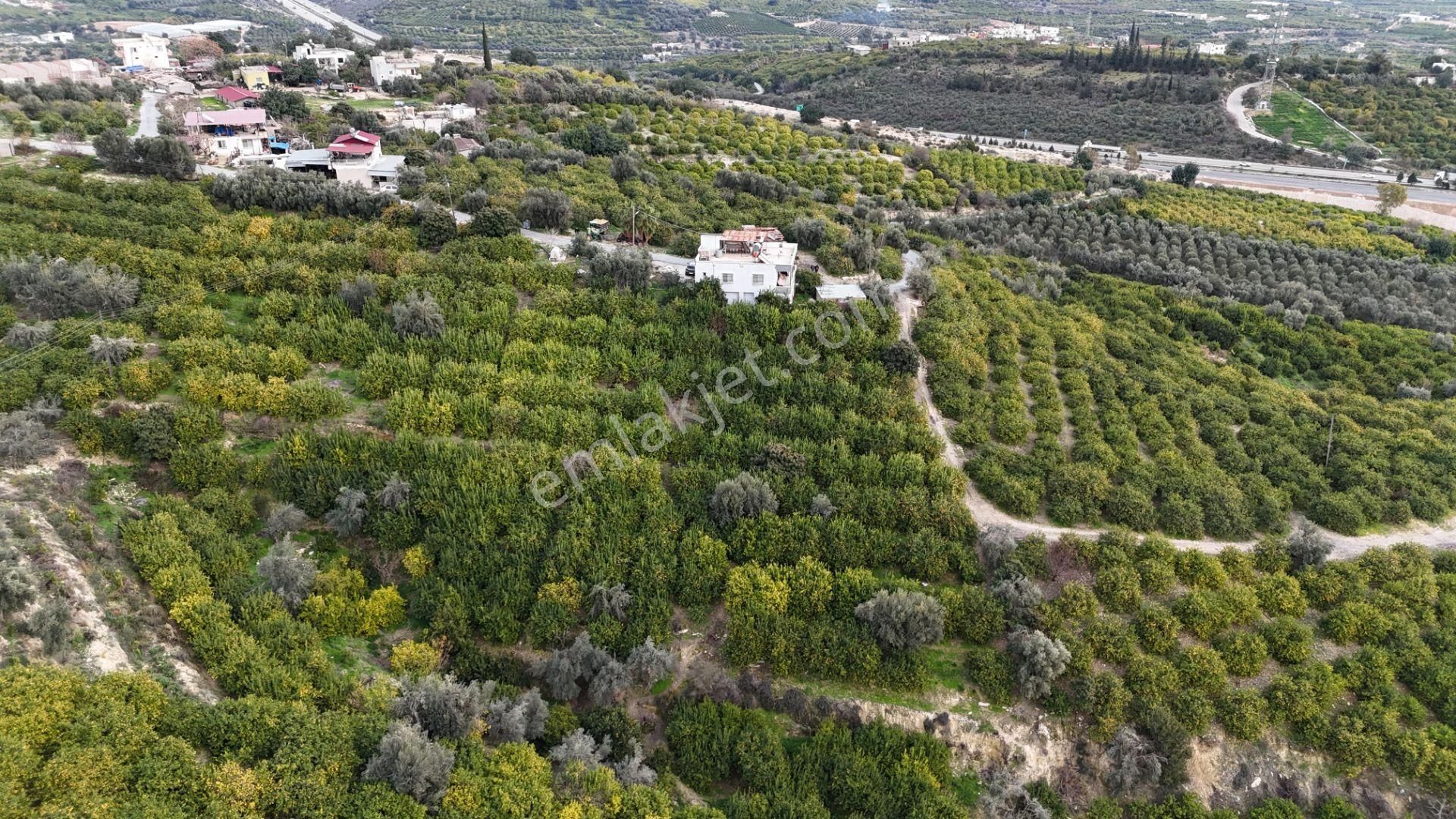 Bolkar Emlaktan Tece'de Deniz Manzaralı Bahçeli 2+1 Ev Ve Bahçe - Görsel 27