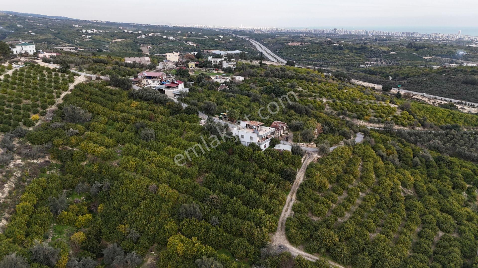 Bolkar Emlaktan Tece'de Deniz Manzaralı Bahçeli 2+1 Ev Ve Bahçe - Görsel 25