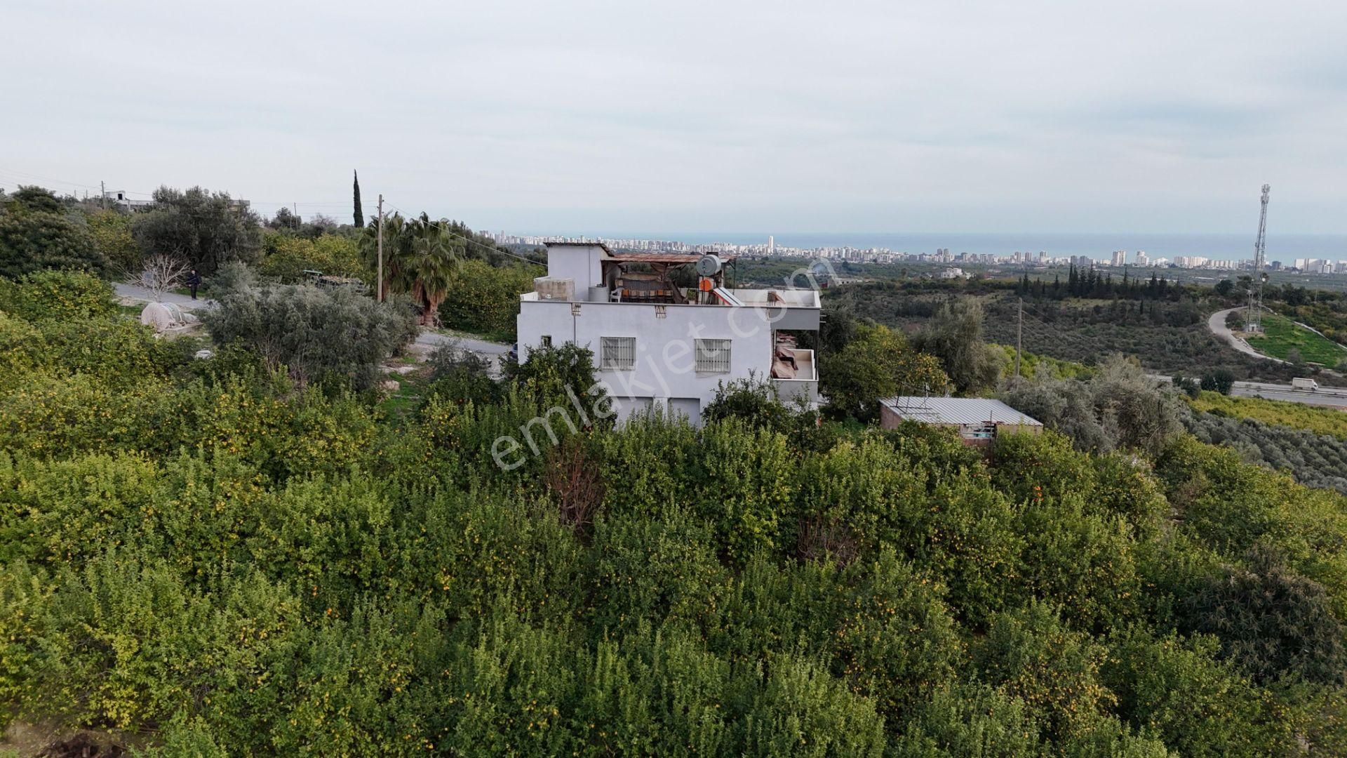 Bolkar Emlaktan Tece'de Deniz Manzaralı Bahçeli 2+1 Ev Ve Bahçe - Görsel 34