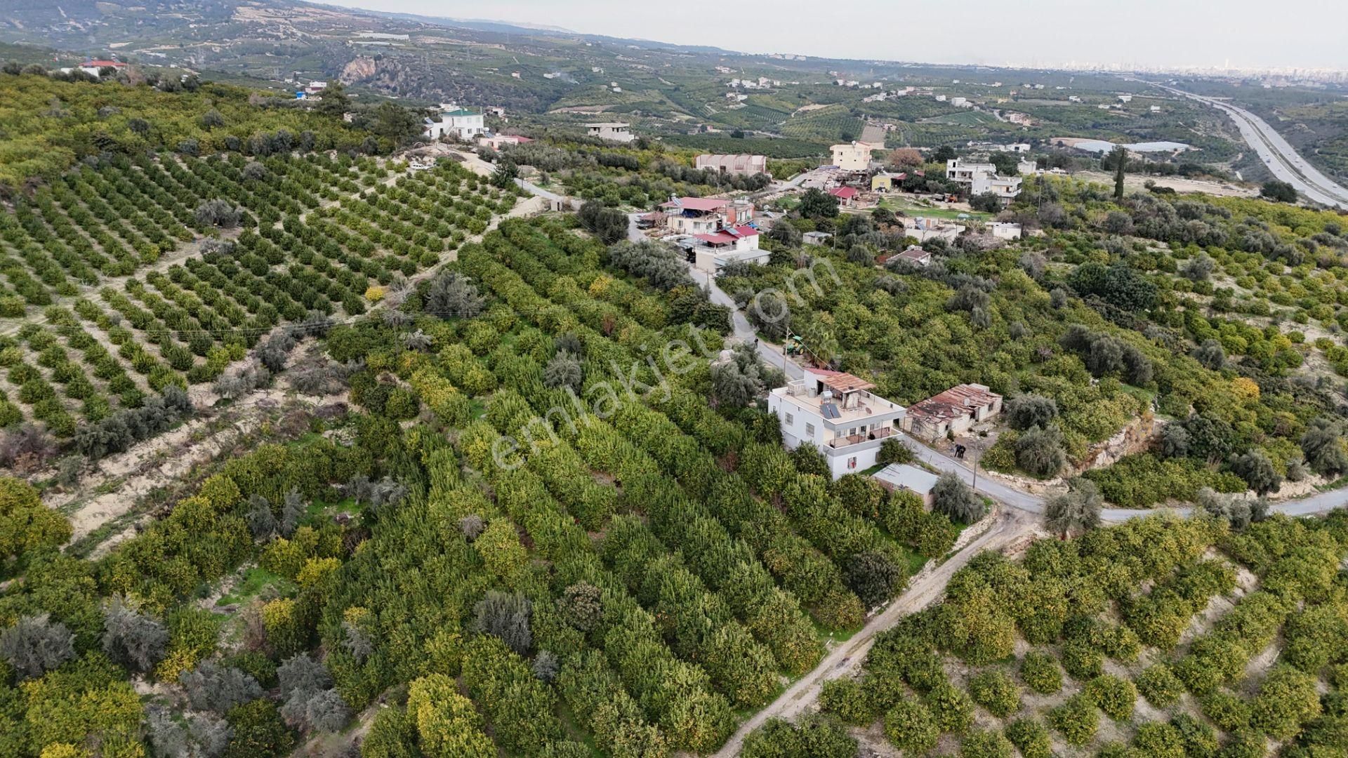 Bolkar Emlaktan Tece'de Deniz Manzaralı Bahçeli 2+1 Ev Ve Bahçe - Görsel 26
