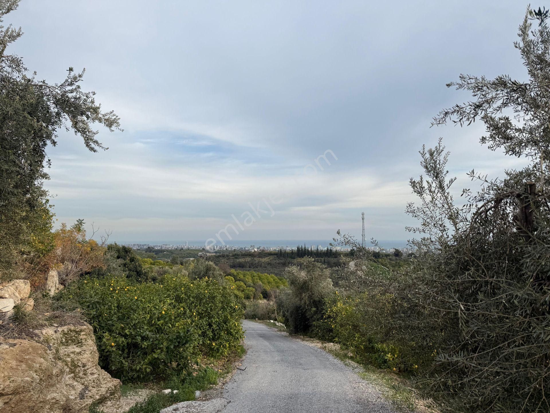 Bolkar Emlaktan Tece'de Deniz Manzaralı Bahçeli 2+1 Ev Ve Bahçe - Görsel 35