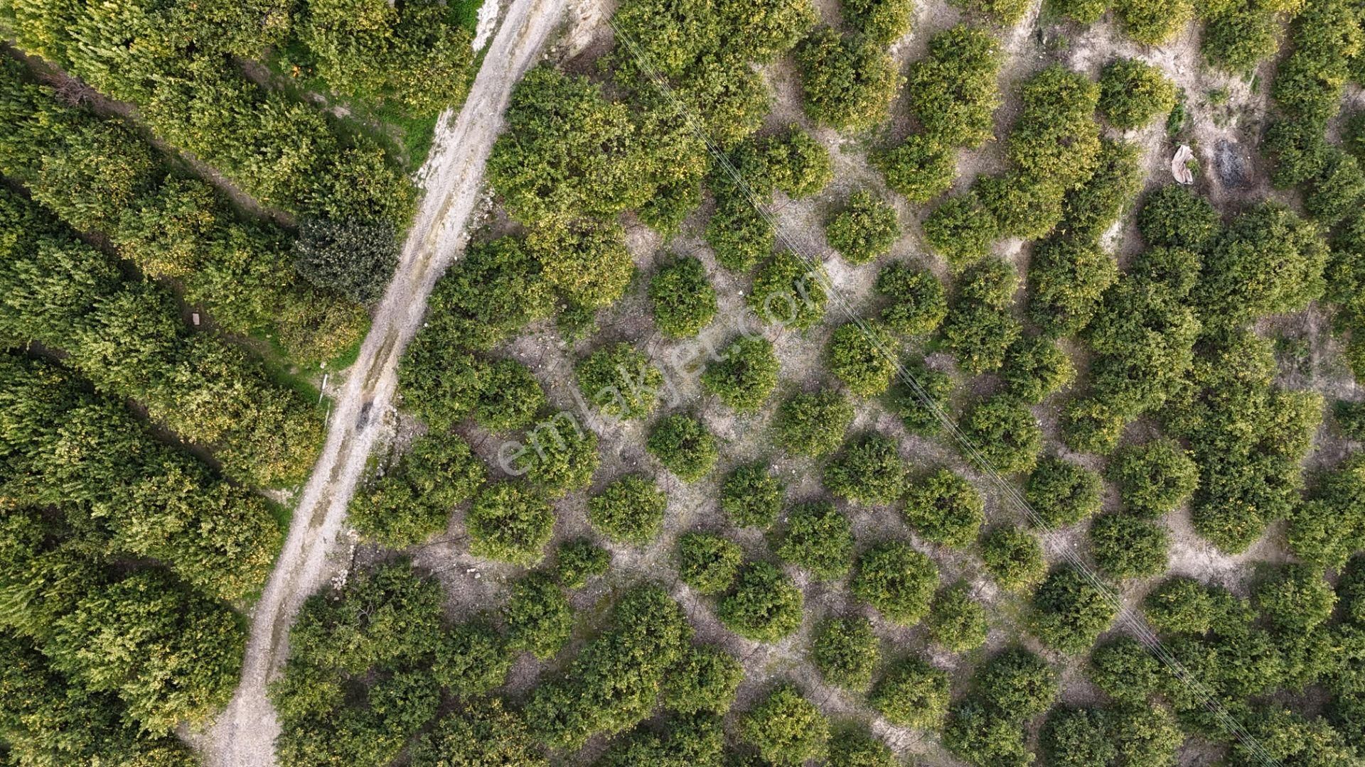 Bolkar Emlaktan Tece'de Deniz Manzaralı Bahçeli 2+1 Ev Ve Bahçe - Görsel 22